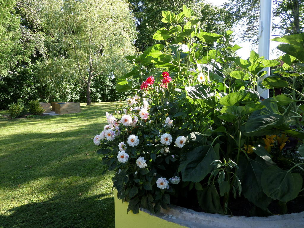 Skogis Bed & Breakfast Katrineholm Exteriér fotografie