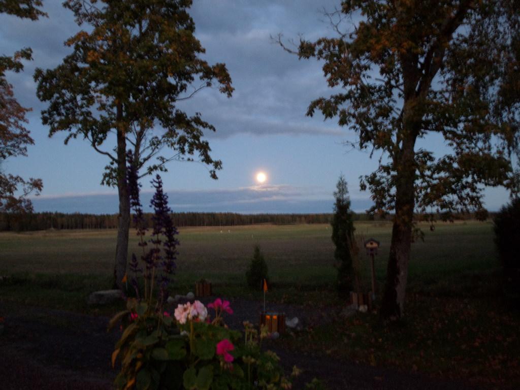 Skogis Bed & Breakfast Katrineholm Exteriér fotografie